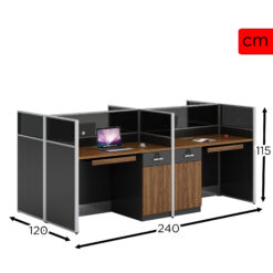 Alternative view of RUP-LE24 PARTITION