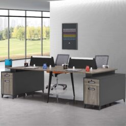 SPRINGER 2812-4 WORKSTATION