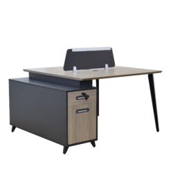 Alternative view of SPRINGER 1412-2 WORKSTATION